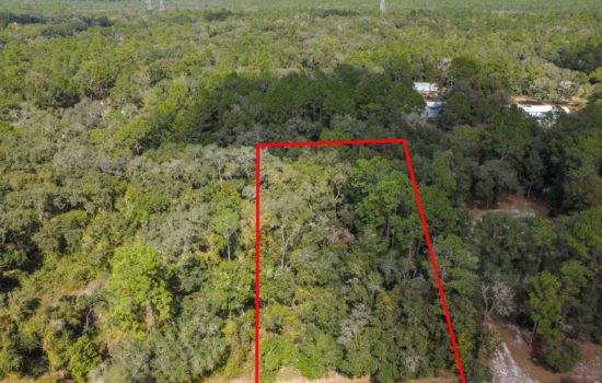 0 SW 155th Place, Dunnellon, FL 34432